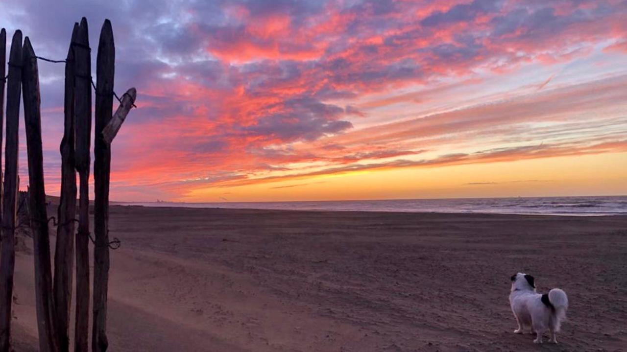 Beach House For You - Luxe Verblijf, 5 Min Van Het Strand Katwijk aan Zee Esterno foto